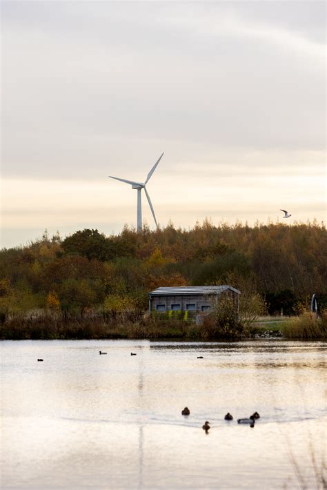 National Forest Explorer App に対する画像結果