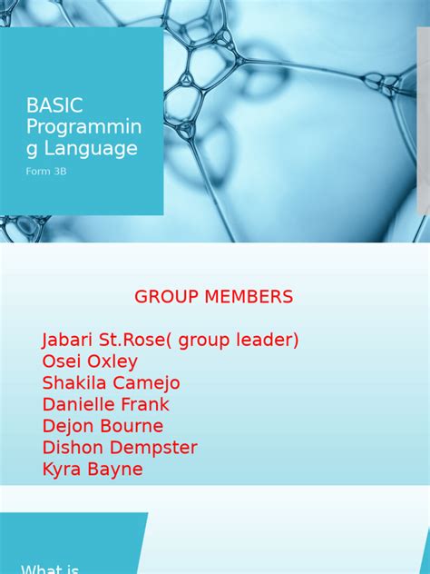 Image result for Basic Programming Langugae