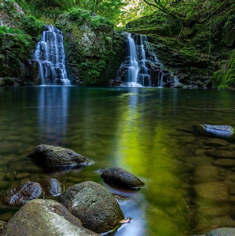 Image result for Natural String