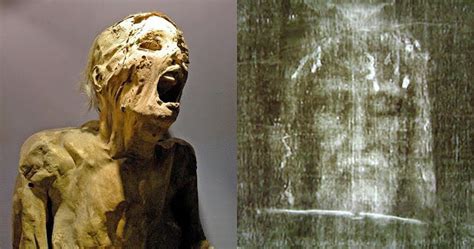 Image result for Alien Haai