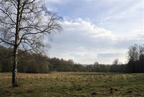 Free Photo Download Spring Landscape に対する画像結果