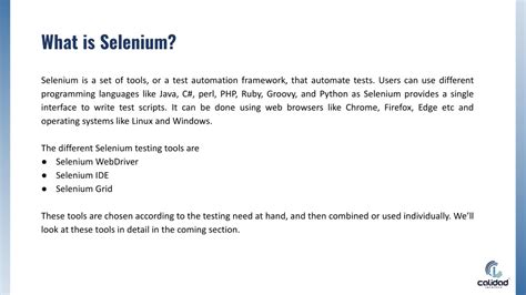 Toradh íomhá ar Simple Selenium Script