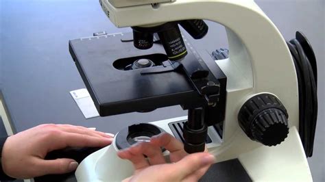 Image result for Microscope That Biologist Use