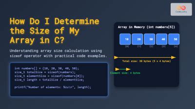 Afbeeldingsresultaten voor Determine Programming Language