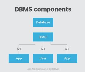 Examples of Database Management Software に対する画像結果