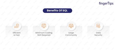 Image result for Applications of SQL