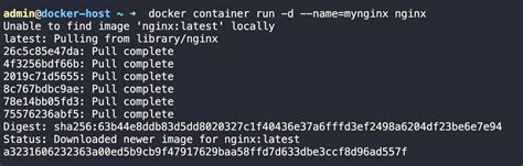 Creating and Executing Container Using Docker Was Completed Successful に対する画像結果