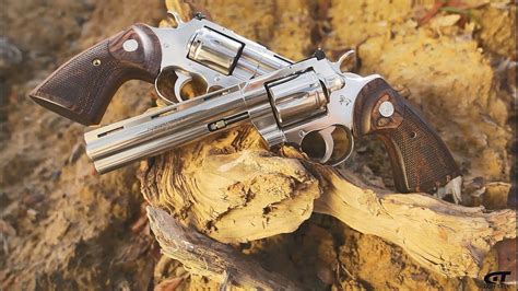 Image result for Colt Python Front View