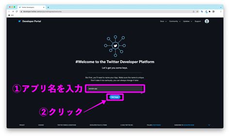 Python Twitter API に対する画像結果