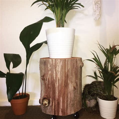 Image result for Modern Tree Trunk Entry Table Ideas