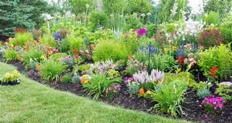 Toradh íomhá ar Spring Planting Plan Layered