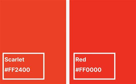 Image result for Scarlet Color