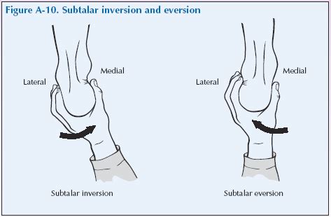 Subtalar Inversion に対する画像結果