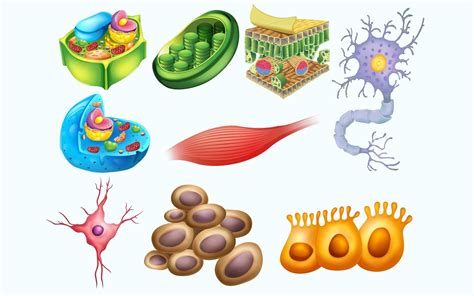 Science Class of Classification Examples に対する画像結果