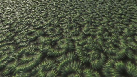 Unity Render Texture に対する画像結果