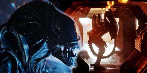 Image result for Alien Ridley Scott