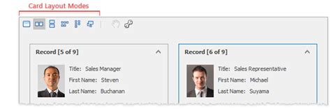 Image result for DevExpress Layout View