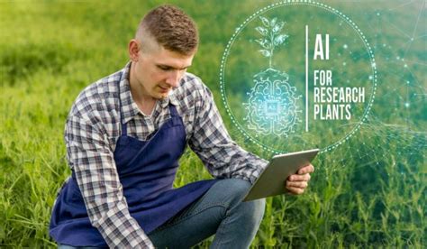 Image result for Computer Vision Project for Agriculture