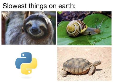 Image result for Java vs C++ vs Python Meme