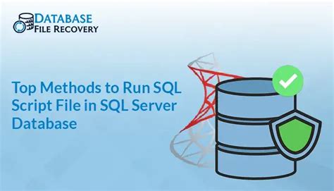 Image result for SQL Script File