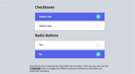 Image result for Checkbox CSS