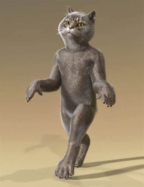 Toradh íomhá ar Catoon Programing