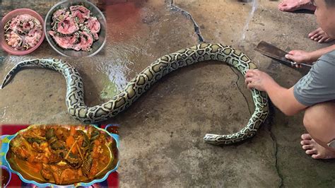 Image result for Python Snack