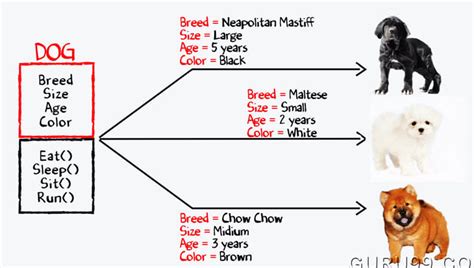 Afbeeldingsresultaten voor Objects vs Classes Java