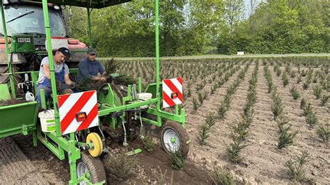 Image result for Hedge Planting Machine