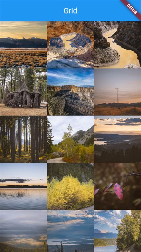 Image result for Flutter Grid GUI