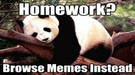 Image result for Kid Doing Homework Meme