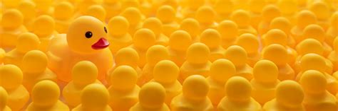 Image result for Different Project Life Cycle Models