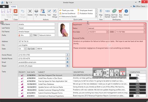 Afbeeldingsresultaten voor DevExpress Entry Screen UI