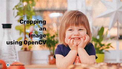 Image result for Blending Image Processing Example Using OpenCV