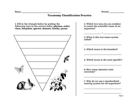 Afbeeldingsresultaten voor Classification Activities for Elementary School
