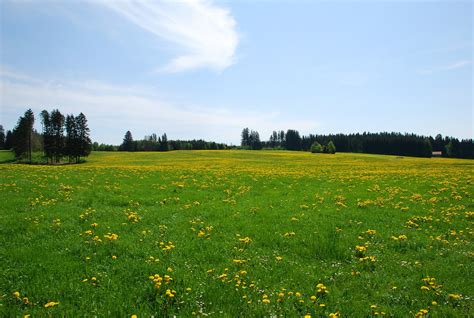Free Photo Download Spring Landscape に対する画像結果