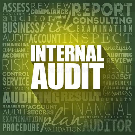 Image result for Internal Audit Process Flow Chart