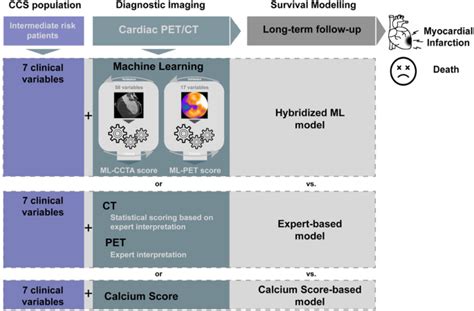 Machine Learning in Pet Scan Workflow に対する画像結果
