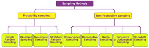 Image result for 4 Sampling Types