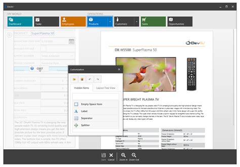 Image result for DevExpress Form