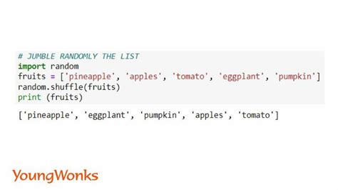 Random Vector in Python ಗಾಗಿ ಇಮೇಜ್ ಫಲಿತಾಂಶ