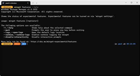 Apps and Features Command Line に対する画像結果