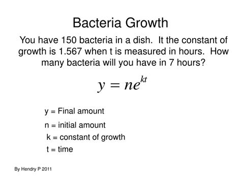 Logarithm vs Exponential に対する画像結果