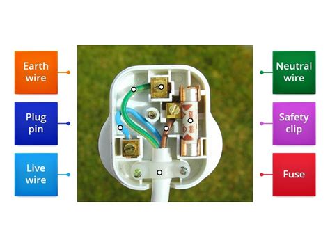 Image result for Simple Plug Diagram