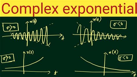 Image result for Complex Exponential Graph Plot