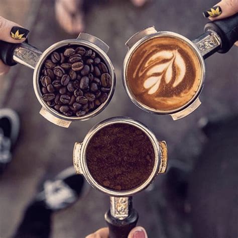 Java Coffee Shop Logo Snacks എന്നതിനുള്ള ഇമേജ് ഫലം