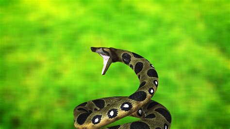 Anaconda 3 Python に対する画像結果