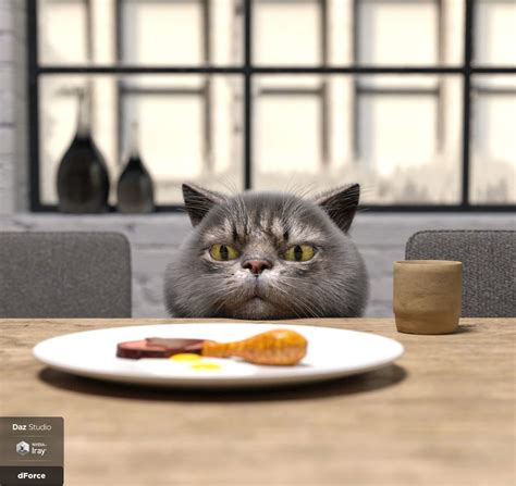 Toradh íomhá ar Catoon Programing