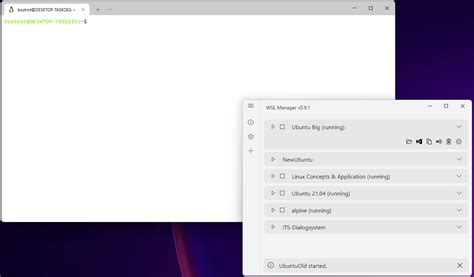 Toradh íomhá ar WSL2 GUI Manager