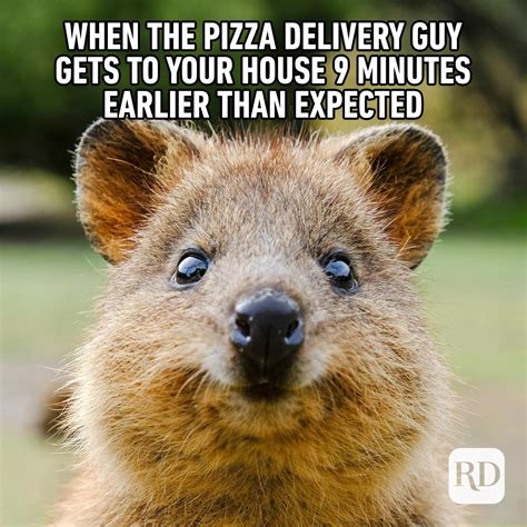 Image result for Meme Math Solve Problems